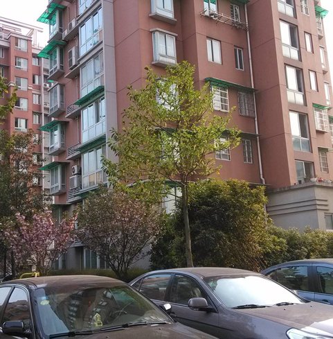 甄选家装 服务产品 选择九鼎装饰大阳