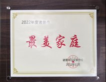 最美家庭奖章 别墅面积